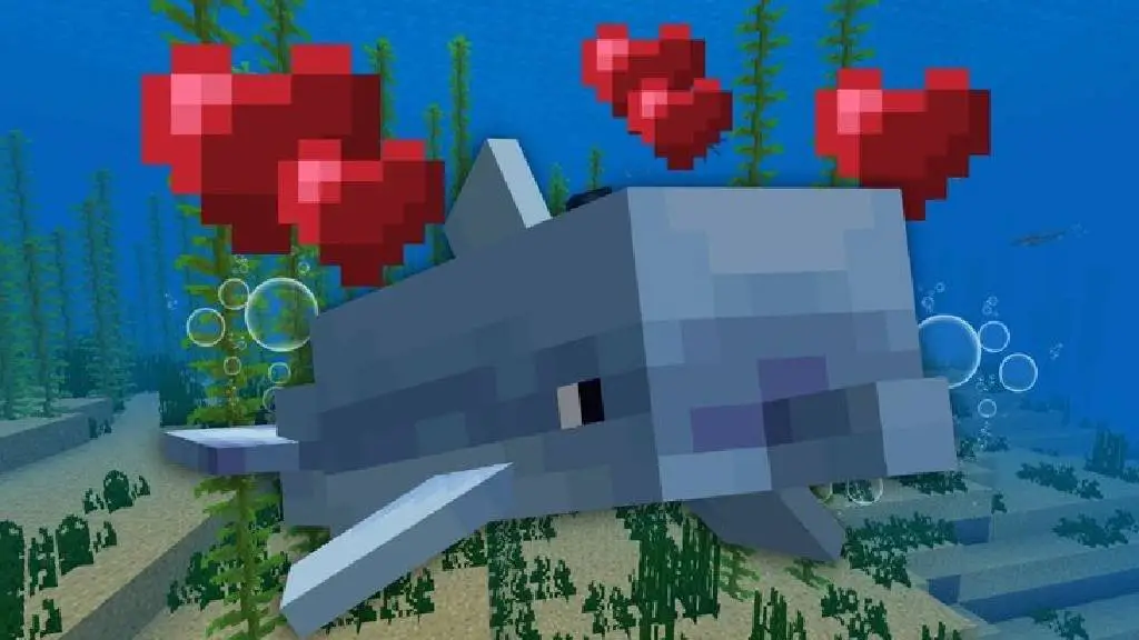 What do dolphins eat in minecraft?