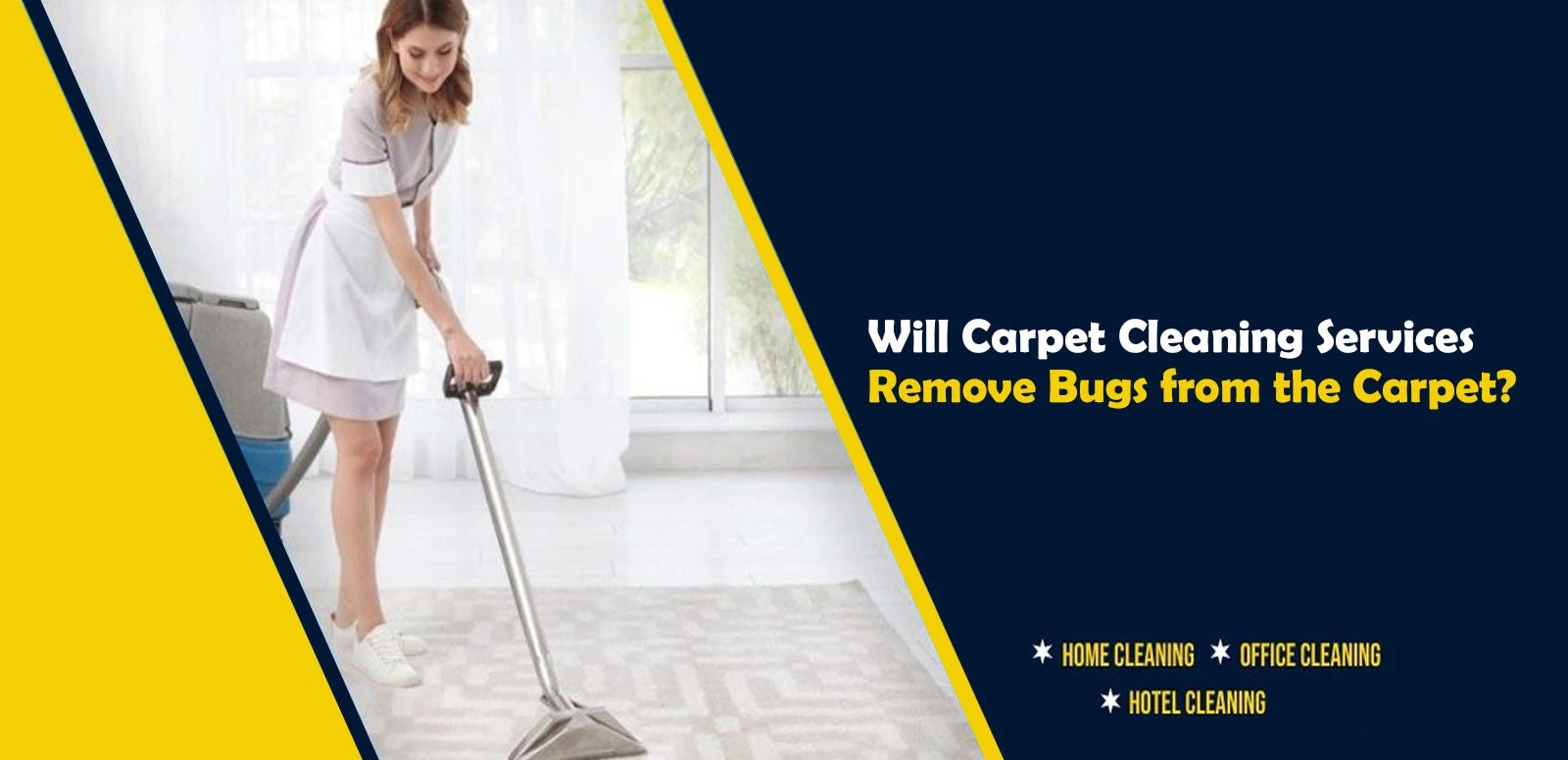 Will Carpet Cleaning Services Remove Bugs from the Carpet