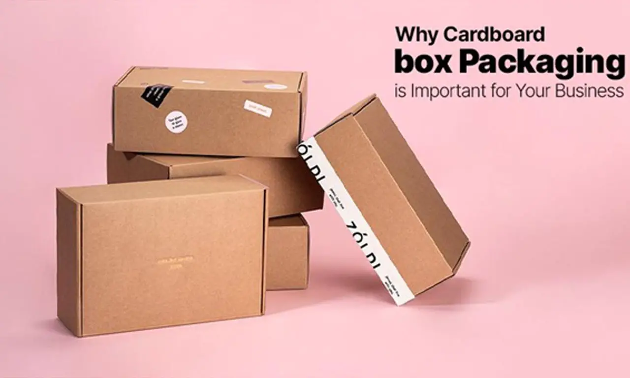 The Revolution of Cardboard Boxes