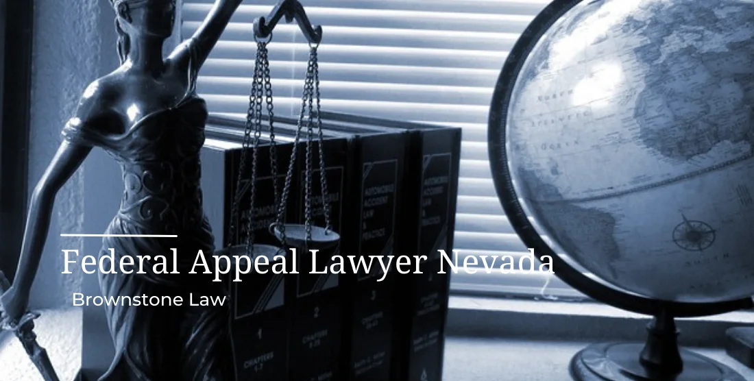 Appellate Lawyer