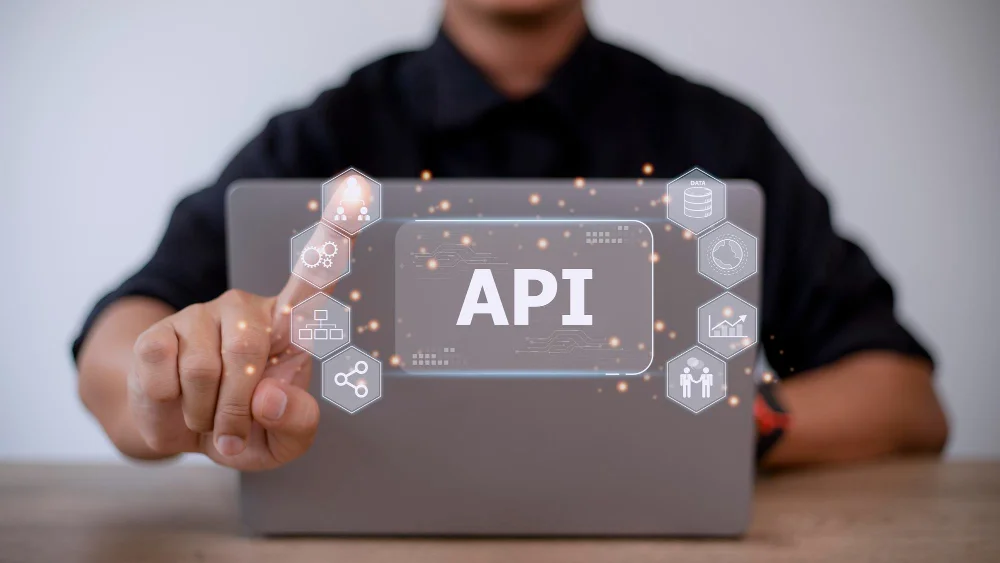 System APIs vs. Web APIs